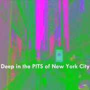 TRISTATEDATA PITS NYC PROJECT