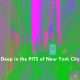 TRISTATEDATA PITS NYC PROJECT